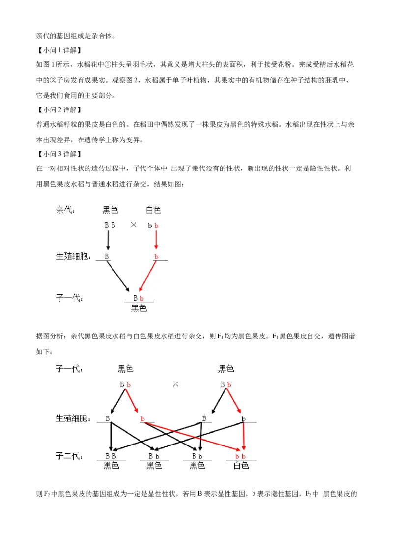精品解析：北京市第四中学2021-2022学年八年级下学期期中生物试题（解析版）(1)_北京初中期末题_C605-京七八九_B京生物七八九_北京八下生物