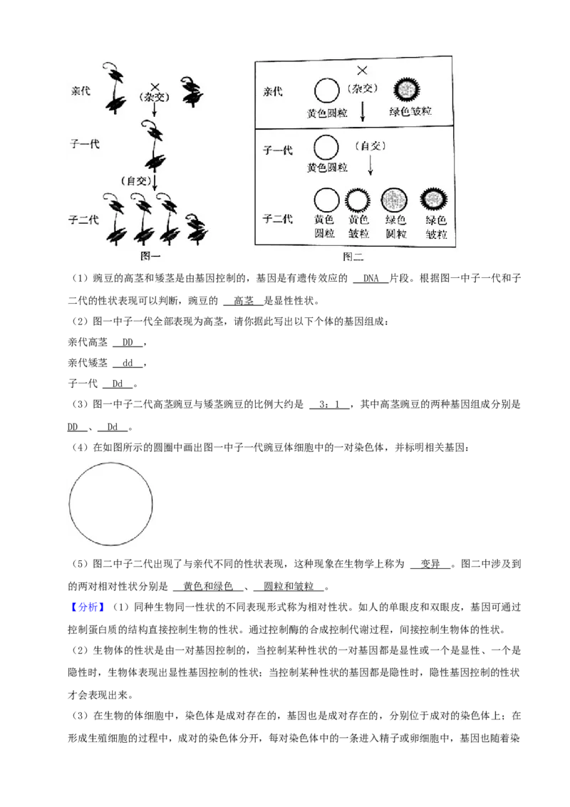 2021年山西省太原市中考生物真题（解析卷）_❤山西历年中考真题_8.山西中考生物2018-2025