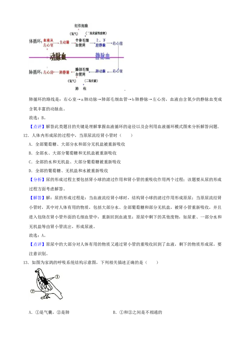 2021年山西省太原市中考生物真题（解析卷）_❤山西历年中考真题_8.山西中考生物2018-2025