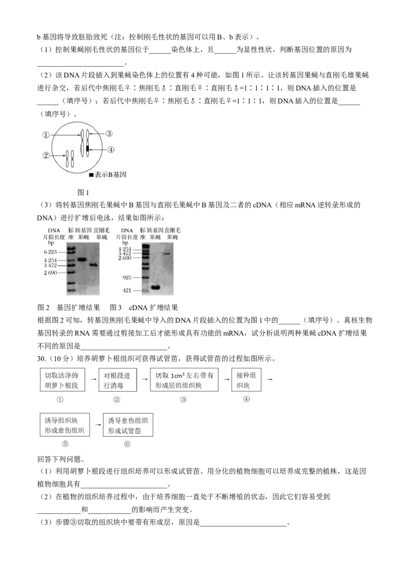 黑龙江省齐齐哈尔市2024-2025学年高三上学期10月月考生物试题_A1502026各地模拟卷（超值！）_10月_241013黑龙江省哈尔滨市第三中学校2024-2025学年高三上学期10月月考
