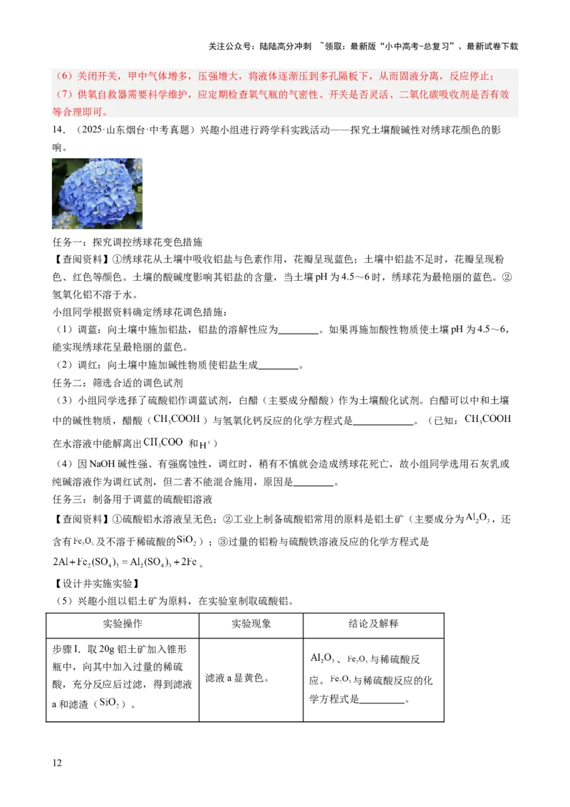 专题25跨学科类试题（解析版）_02中考总复习（2026版更新中）_05-化学-中考总复习_2026年中考复习（更新中）_好题汇编三年（2023-2025）中考化学真题分类汇编（全国通用）