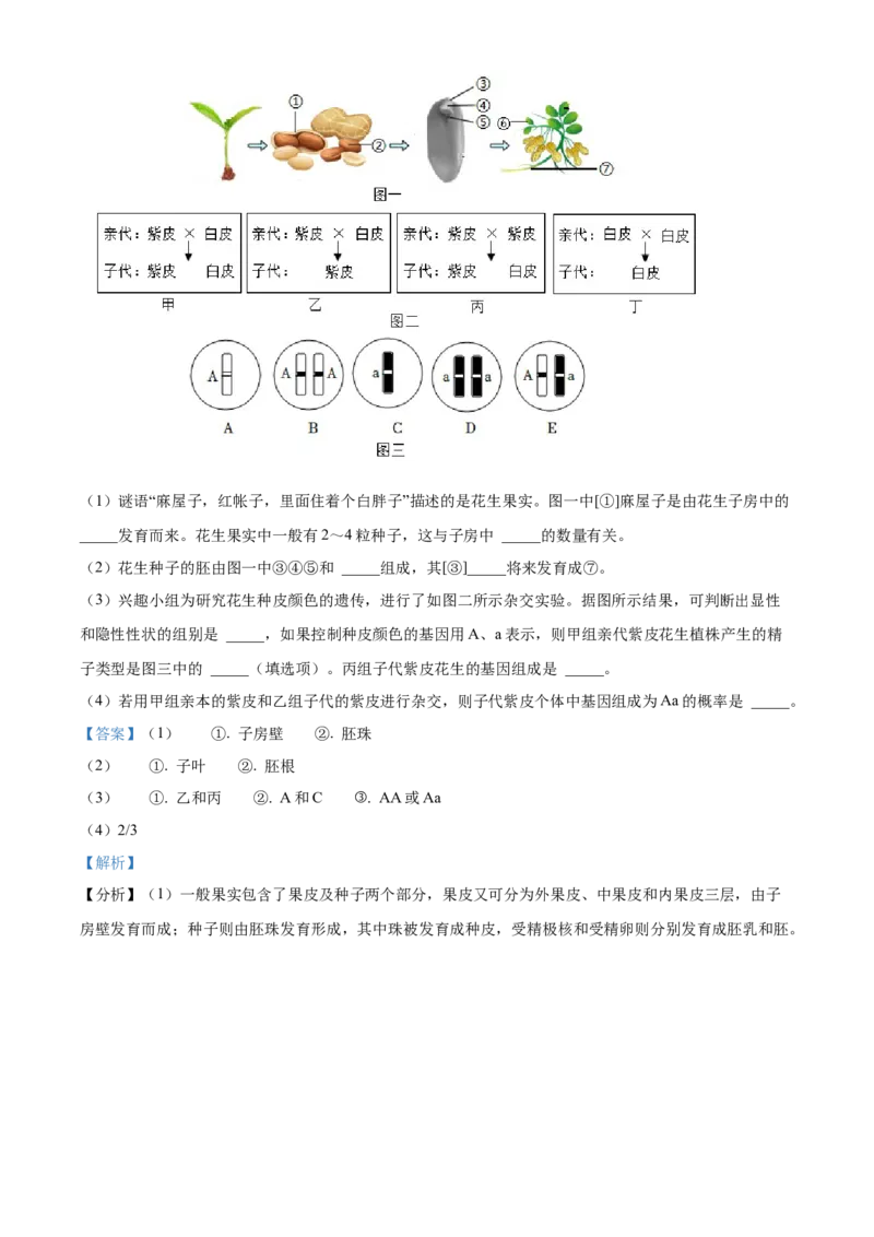 精品解析：北京市第八中学2021-2022学年八年级下学期期中生物试题（解析版）(1)_北京初中期末题_C605-京七八九_B京生物七八九_北京八下生物