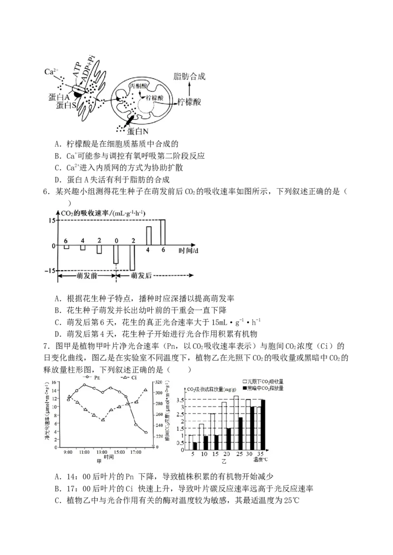 黑龙江省牡丹江市省级示范高中2024-2025学年高三上学期期中考试生物Word版含答案_A1502026各地模拟卷（超值！）_11月