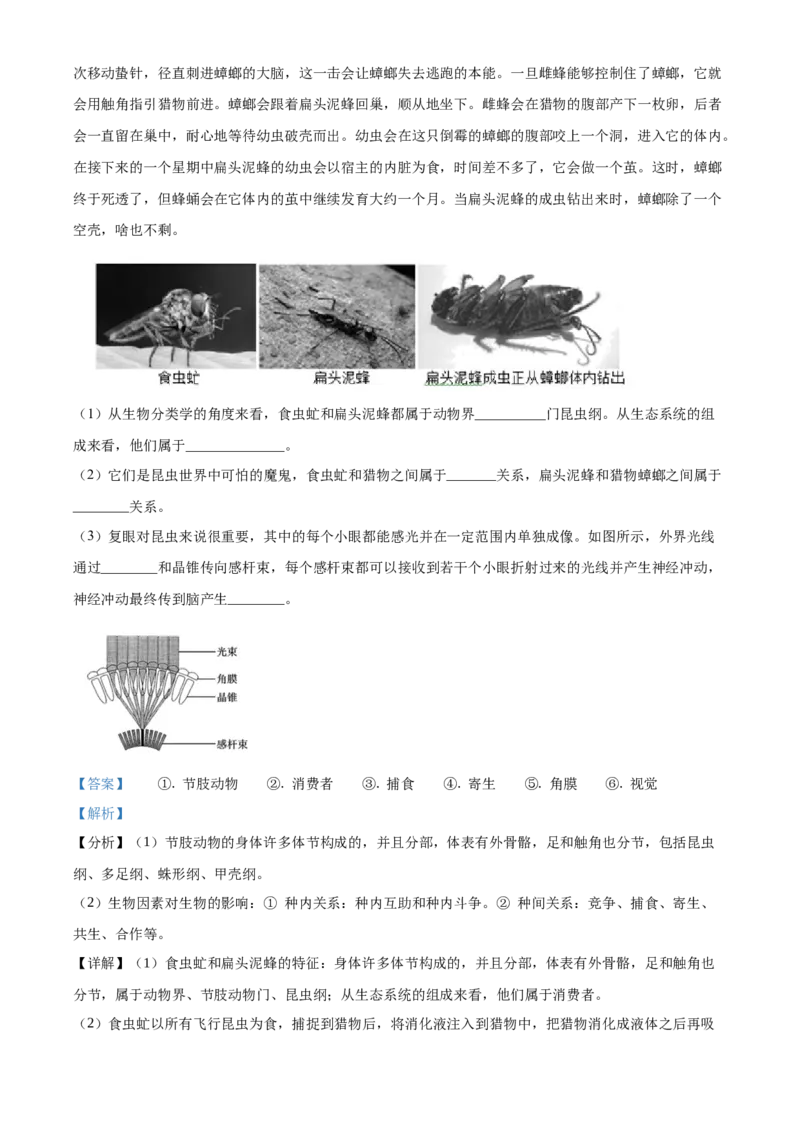 精品解析：北京市第四十三中学2020-2021学年八年级下学期期中生物试题（解析版）(1)_北京初中期末题_C605-京七八九_B京生物七八九_北京八下生物