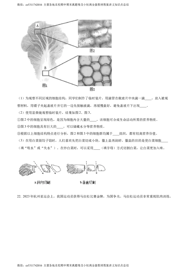 精品解析：北京市海淀区2023-2024学年七年级上学期期末生物试题（原卷版）(1)_北京初中期末题_C605-京七八九_B京生物七八九_北京7上生物_2022-2024_北京生物7上期末