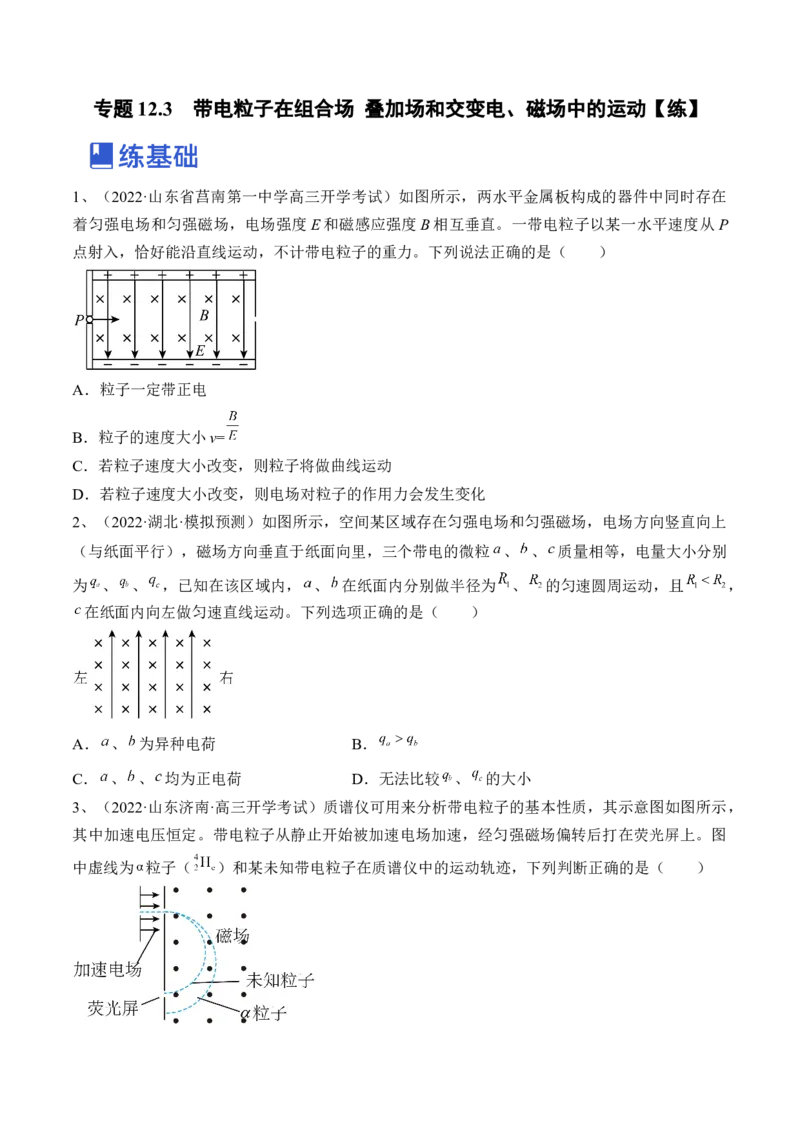 专题12.3　带电粒子在组合场叠加场和交变电、磁场中的运动练&mdash;&mdash;2023年高考物理一轮复习讲练测（新教材新高考通用）（原卷版）_4.2025物理总复习_2023年新高复习资料_一轮复习
