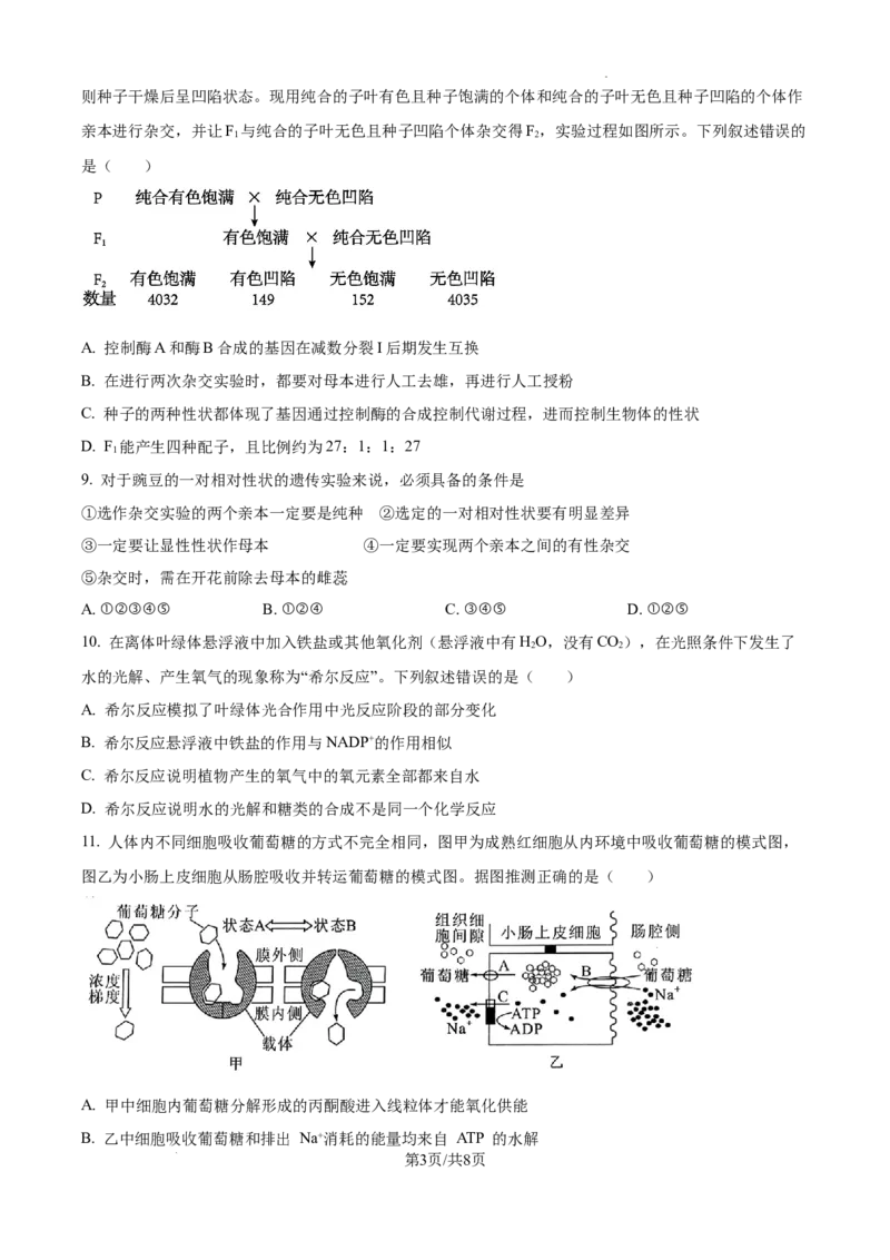 福建省福州第三中学2024-2025学年高三上学期10月月考生物_A1502026各地模拟卷（超值！）_10月_241021福建省福州第三中学2024-2025学年高三上学期10月月考