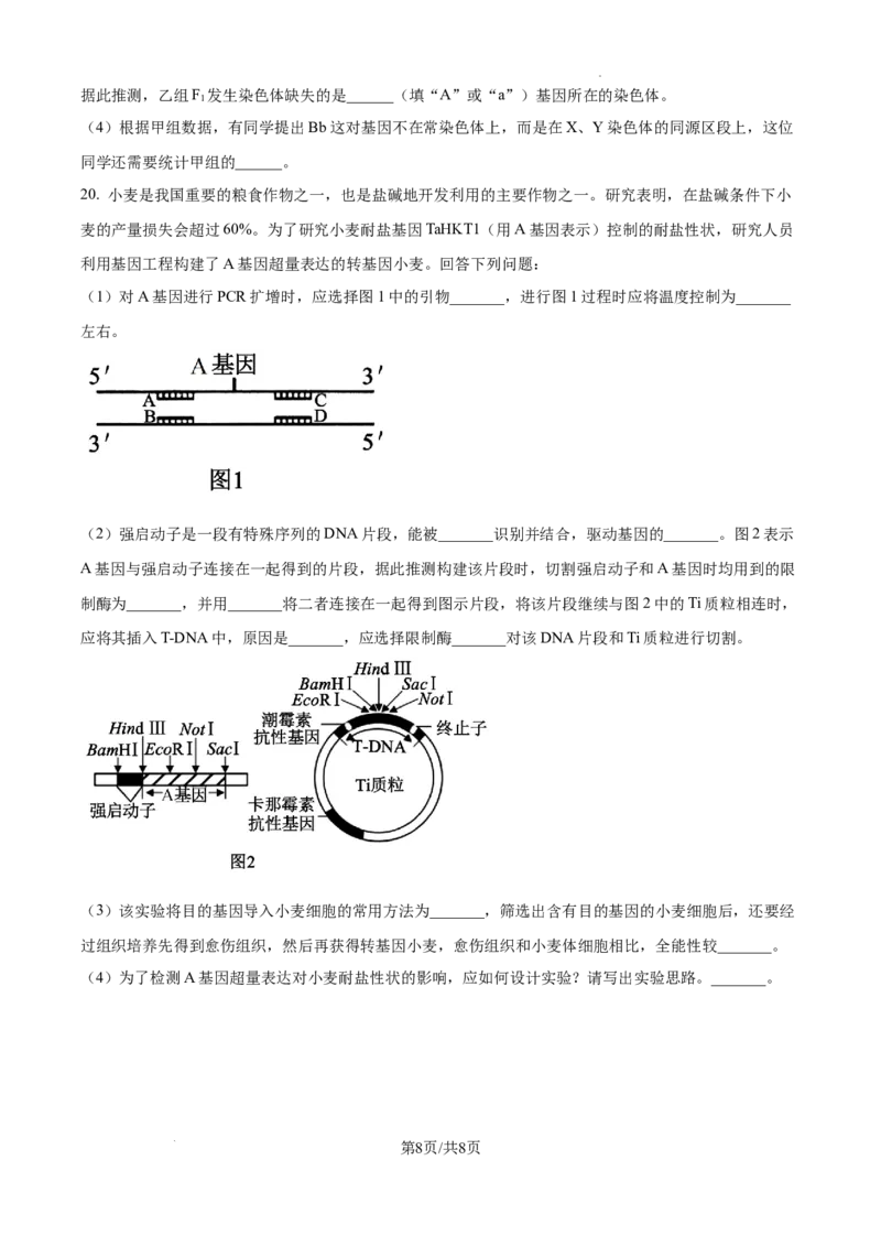福建省福州第三中学2024-2025学年高三上学期10月月考生物_A1502026各地模拟卷（超值！）_10月_241021福建省福州第三中学2024-2025学年高三上学期10月月考