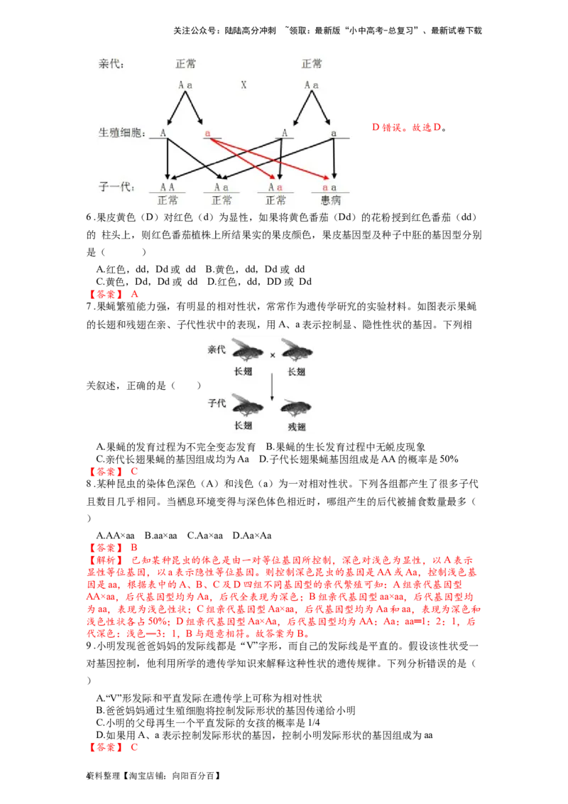 专题23生物的遗传和变异（解析版）_02中考总复习（2026版更新中）_08-生物-中考总复习_2024年中考复习资料_一轮复习_配套练习_教师版（含答案解析）