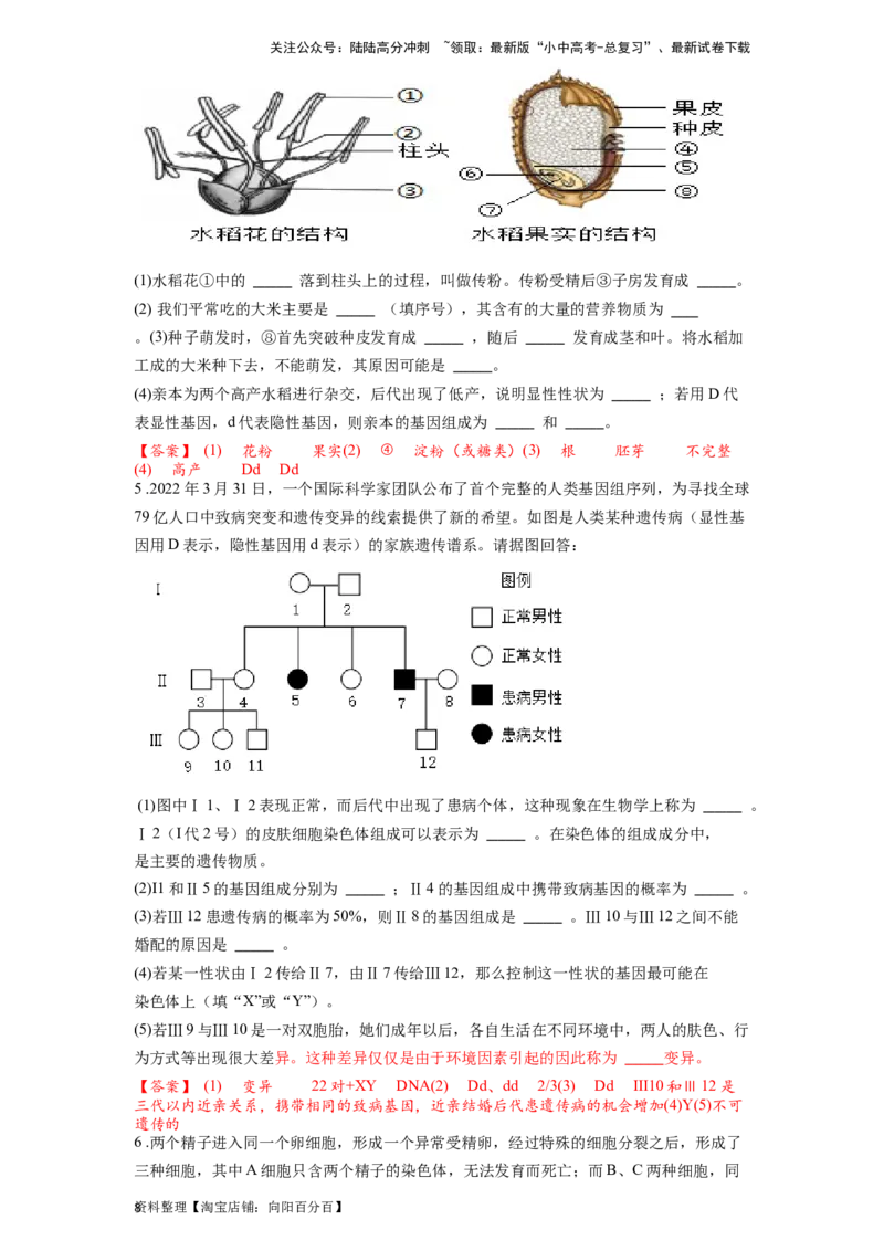 专题23生物的遗传和变异（解析版）_02中考总复习（2026版更新中）_08-生物-中考总复习_2024年中考复习资料_一轮复习_配套练习_教师版（含答案解析）