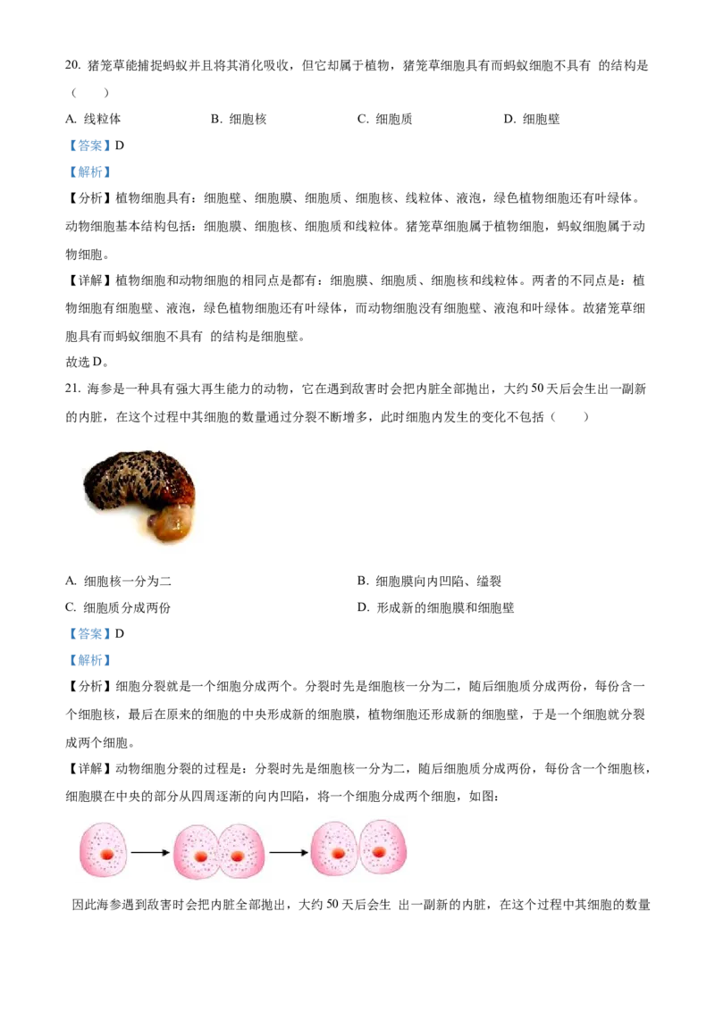 精品解析：北京市通州区2022-2023学年七年级上学期期中生物试题（解析版）(1)_北京初中期末题_C605-京七八九_B京生物七八九_北京7上生物_2022-2024_北京生物7上期中_851
