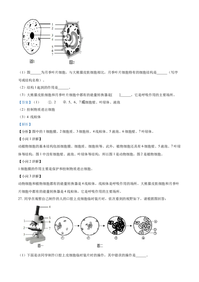精品解析：北京市通州区2022-2023学年七年级上学期期中生物试题（解析版）(1)_北京初中期末题_C605-京七八九_B京生物七八九_北京7上生物_2022-2024_北京生物7上期中_851