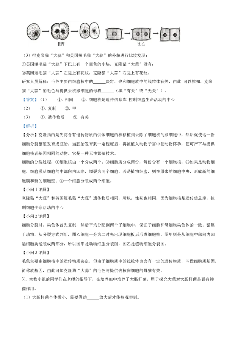 精品解析：北京市通州区2022-2023学年七年级上学期期中生物试题（解析版）(1)_北京初中期末题_C605-京七八九_B京生物七八九_北京7上生物_2022-2024_北京生物7上期中_851