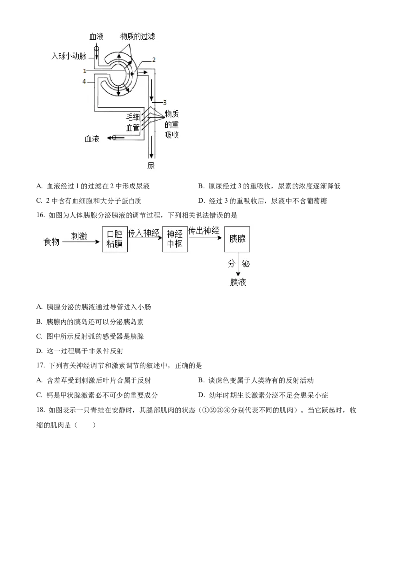 精品解析：北京市第八中学2021-2022学年八年级下学期期中生物试题（原卷版）(1)_北京初中期末题_C605-京七八九_B京生物七八九_北京八下生物