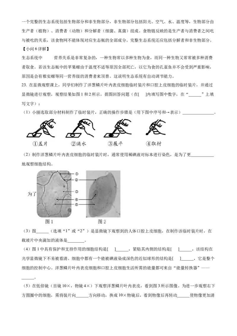 精品解析：北京市海淀区北京理工大学附属中学2022-2023学年七年级上学期期中生物试题（解析版）(1)_北京初中期末题_C605-京七八九_B京生物七八九_北京7上生物_2022-2024_北京生物7上期中