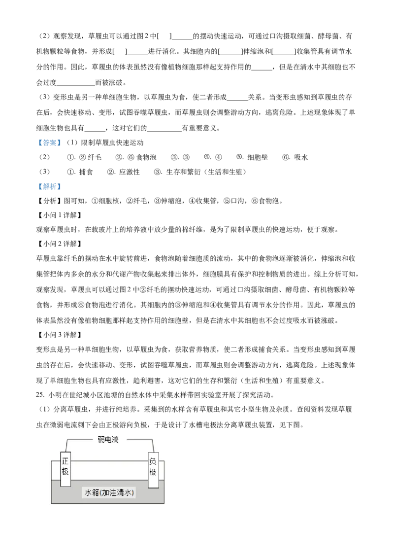 精品解析：北京市海淀区北京理工大学附属中学2022-2023学年七年级上学期期中生物试题（解析版）(1)_北京初中期末题_C605-京七八九_B京生物七八九_北京7上生物_2022-2024_北京生物7上期中