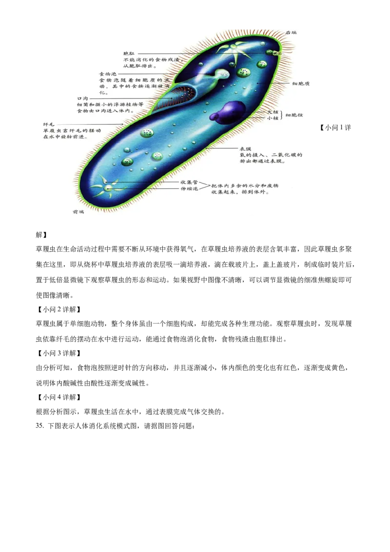 精品解析：北京市门头沟区2021-2022学年七年级上学期期末生物试题（解析版）(1)_北京初中期末题_C605-京七八九_B京生物七八九_北京7上生物_2021-2022