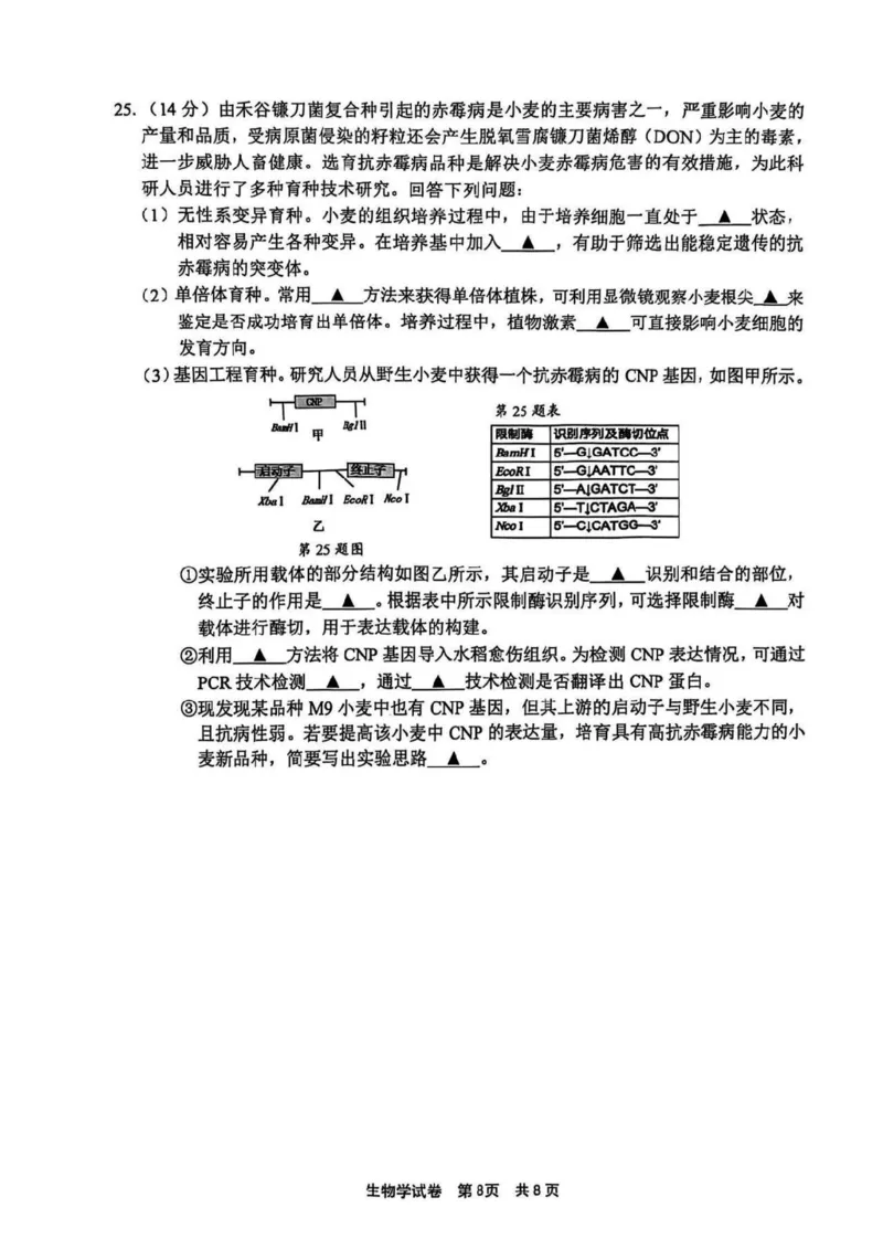生物试卷_A1502026各地模拟卷（超值！）_11月_241108浙江省宁波2025届高三一模_宁波2025届高三一模生物