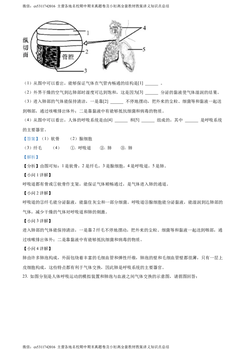 精品解析：北京市昌平区新学道临川学校2021-2022学年七年级下学期第一次月考生物试题（解析版）(1)_北京初中期末题_C605-京七八九_B京生物七八九_北京7下生物_2022-2024_北京生物7下月考