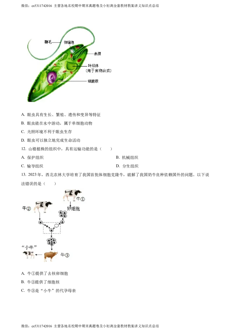 精品解析：北京市朝阳区2023-2024学年七年级上学期期末生物试题（原卷版）(1)_北京初中期末题_C605-京七八九_B京生物七八九_北京7上生物_2022-2024_北京生物7上期末