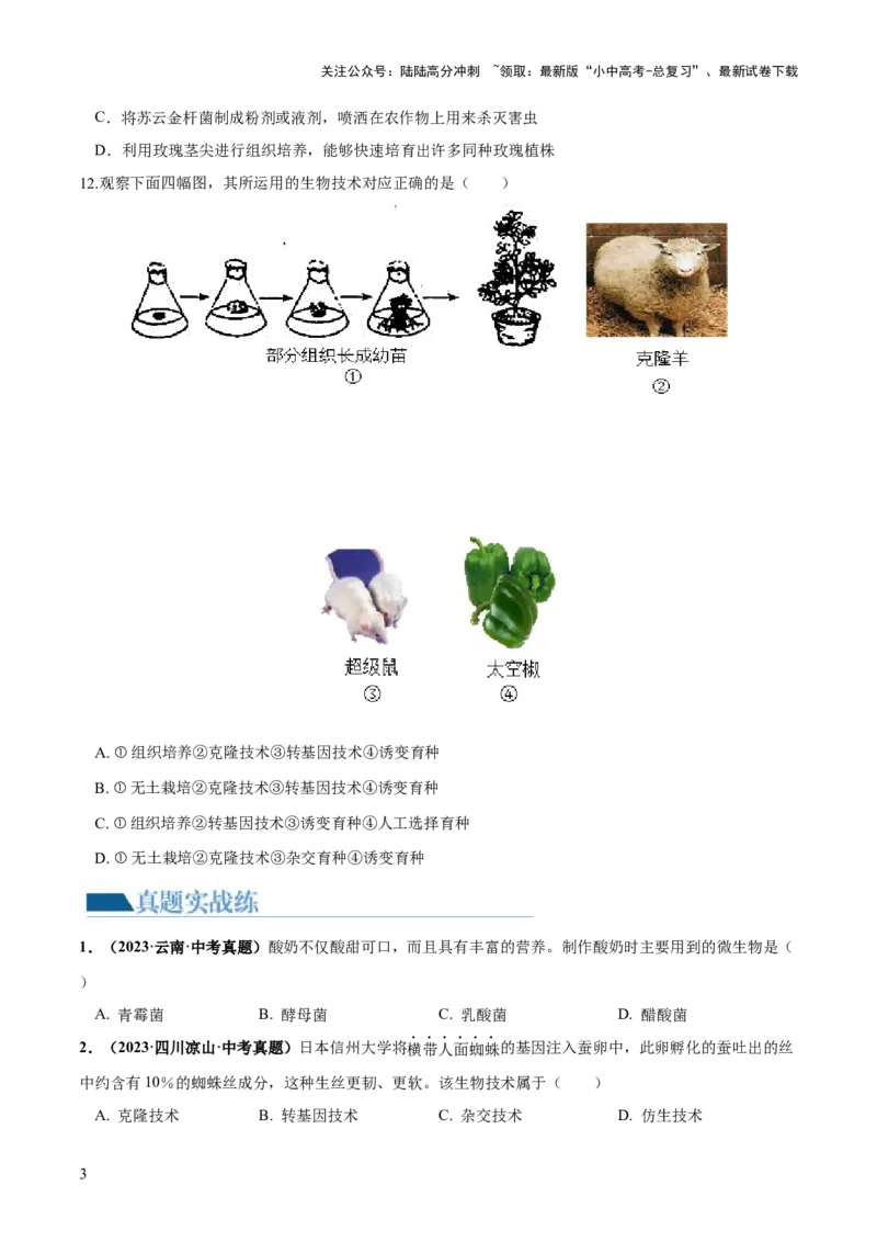 专题23现代生物技术的应用（练习，2大考点）（原卷版）_02中考总复习（2026版更新中）_08-生物-中考总复习_2024年中考复习资料_一轮复习_❤2024年中考生物一轮复习讲练测（全国通用）