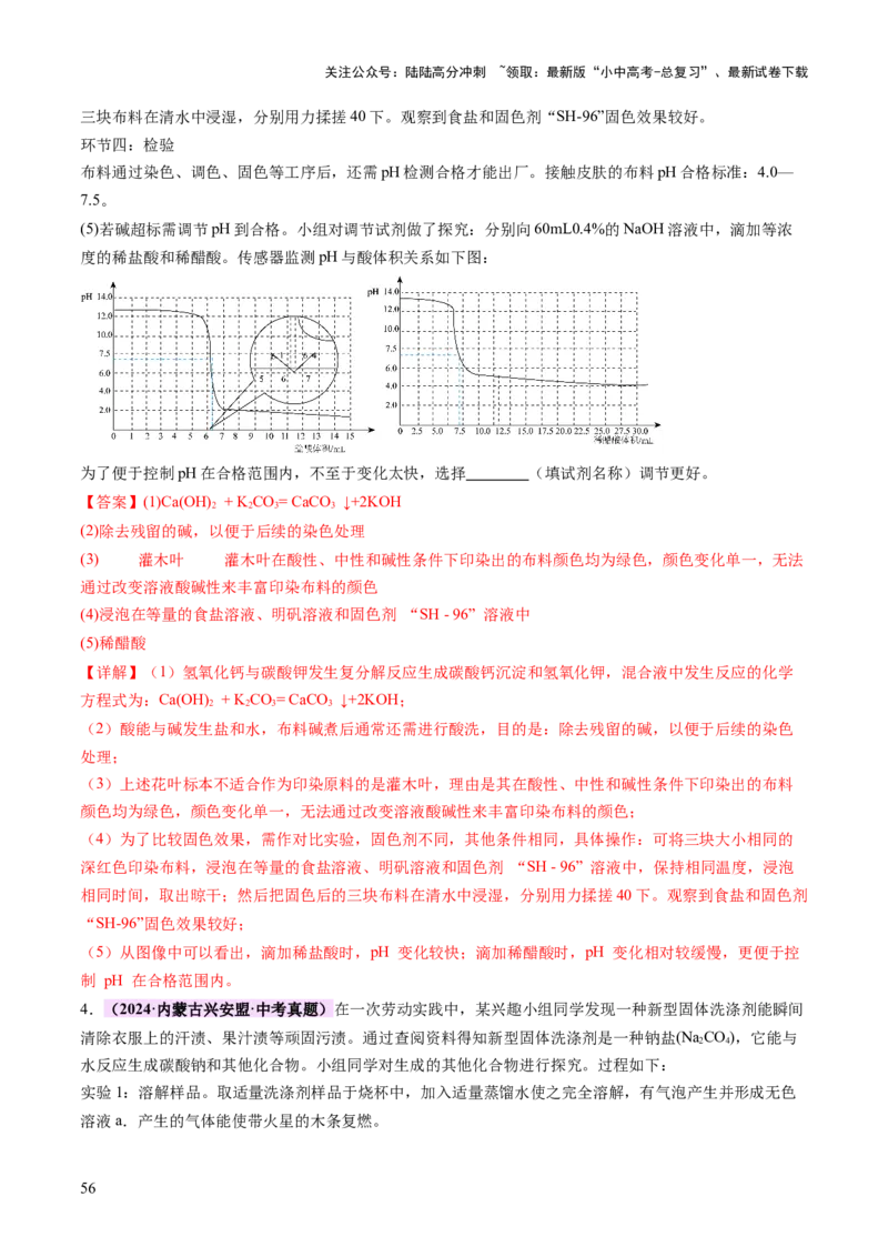 专题四实验探究题（讲练）（解析版）_02中考总复习（2026版更新中）_05-化学-中考总复习_2025年中考复习资料_2025中考二轮课件ppt+讲义+练习化学_讲义+练习