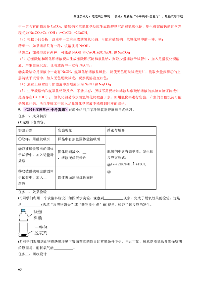 专题四实验探究题（讲练）（解析版）_02中考总复习（2026版更新中）_05-化学-中考总复习_2025年中考复习资料_2025中考二轮课件ppt+讲义+练习化学_讲义+练习