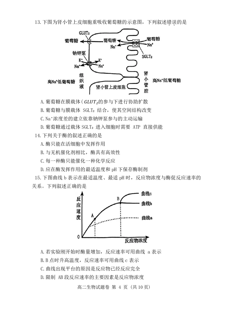 河南省郑州市2023-2024学年高二下学期6月期末生物试题_A1502026各地模拟卷（超值！）_6月_240627河南省郑州市2023-2024学年高二下学期6月期末生物