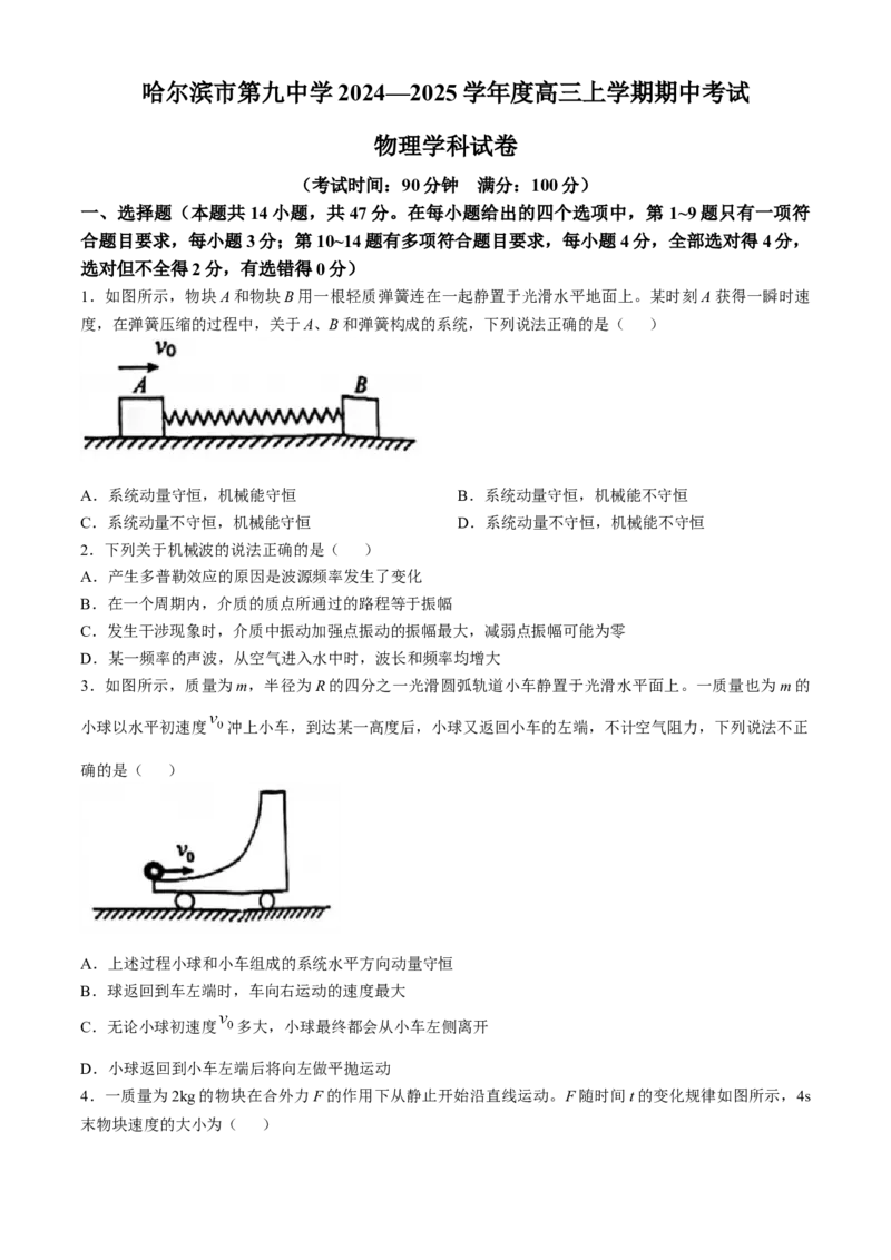 黑龙江省哈尔滨市第九中学2024-2025学年高三上学期期中考试物理Word版含答案（答案不全）_A1502026各地模拟卷（超值！）_11月