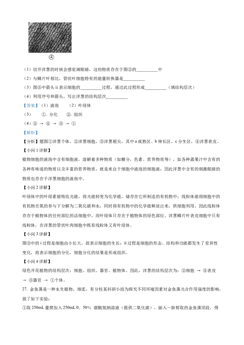 精品解析：北京市通州区2021-2022学年七年级上学期期末生物试题（解析版）(1)_北京初中期末题_C605-京七八九_B京生物七八九_北京7上生物_2021-2022