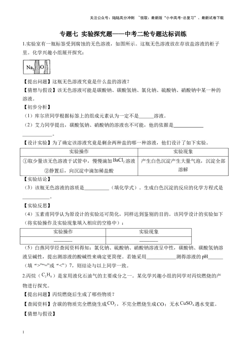 专题七实验探究题2025届中考化学二轮专题达标训练（含答案）_02中考总复习（2026版更新中）_05-化学-中考总复习_2025年中考复习资料_2025届中考化学二轮专题达标训练（含答案）