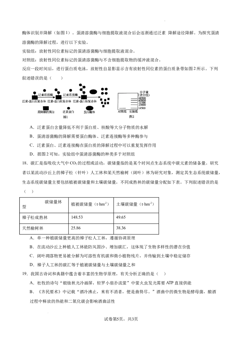 江苏省南京市协同体七校2024-2025学年高三上学期期中联合考试生物试题_A1502026各地模拟卷（超值！）_12月_241201江苏省南京市协同体七校2025届高三期中联合考试（全科）