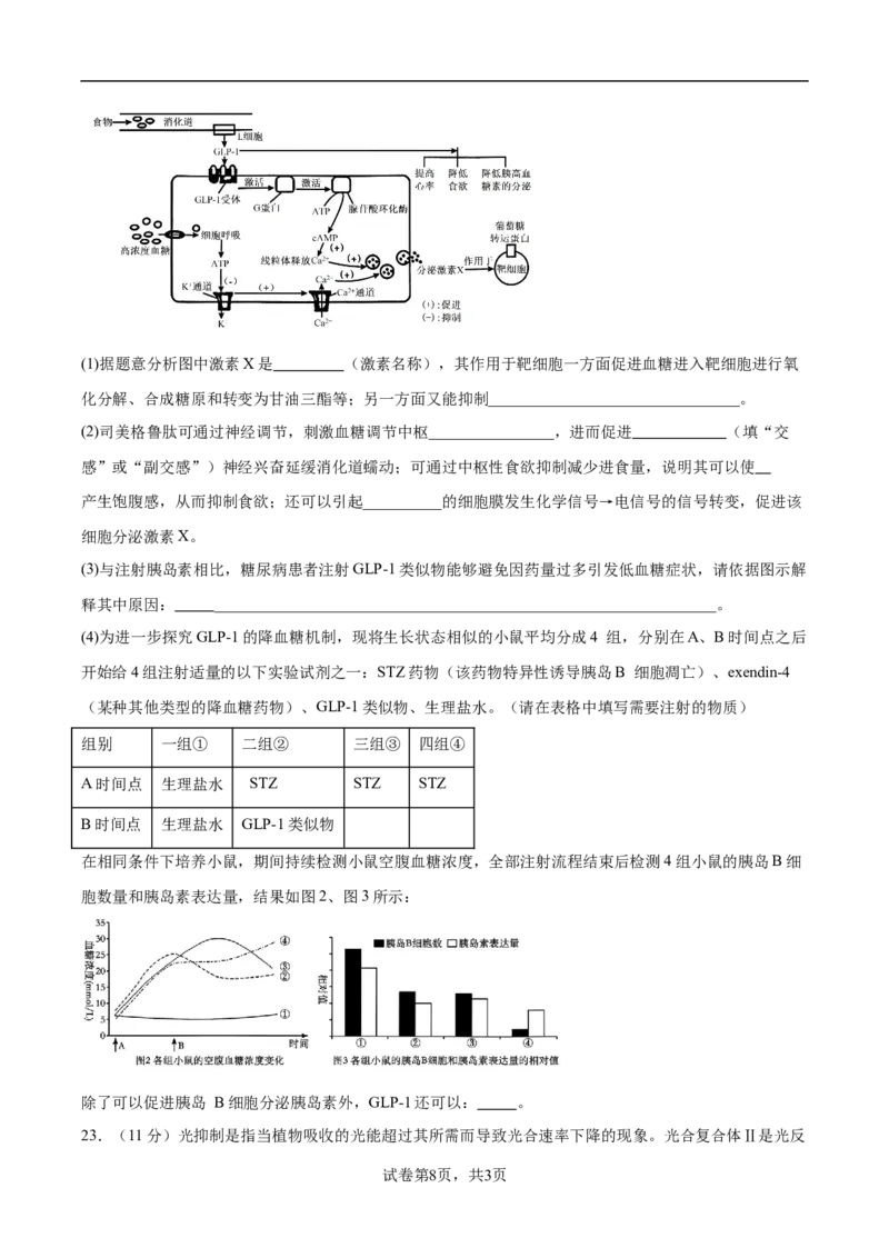 江苏省南京市协同体七校2024-2025学年高三上学期期中联合考试生物试题_A1502026各地模拟卷（超值！）_12月_241201江苏省南京市协同体七校2025届高三期中联合考试（全科）