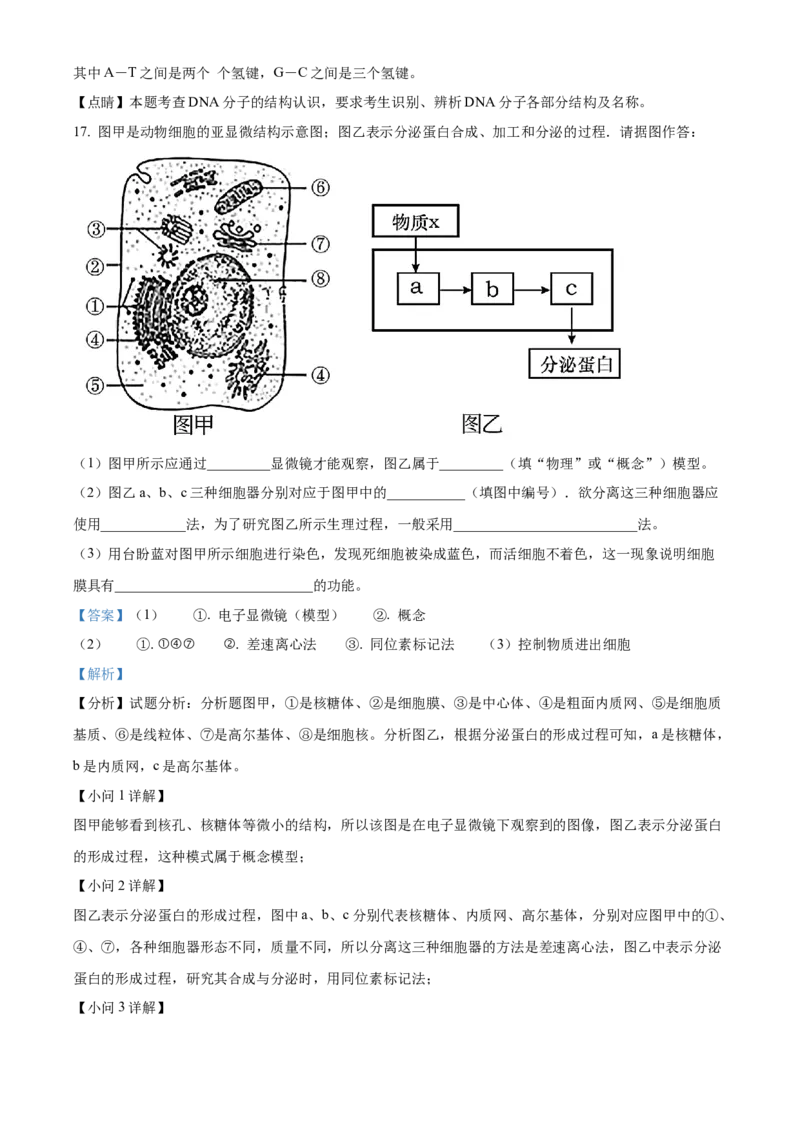 重庆市重庆市重庆乌江新高考协作体2024-2025学年高三上学期10月月考生物试题Word版含解析_A1502026各地模拟卷（超值！）_10月