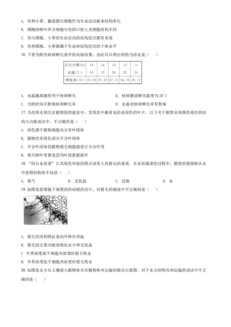精品解析：北京市通州区2019-2020学年七年级上学期期末生物试题（原卷版）(1)_北京初中期末题_C605-京七八九_B京生物七八九_北京7上生物_2019-2020