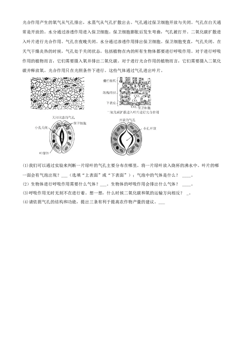 精品解析：北京市通州区2019-2020学年七年级上学期期末生物试题（原卷版）(1)_北京初中期末题_C605-京七八九_B京生物七八九_北京7上生物_2019-2020