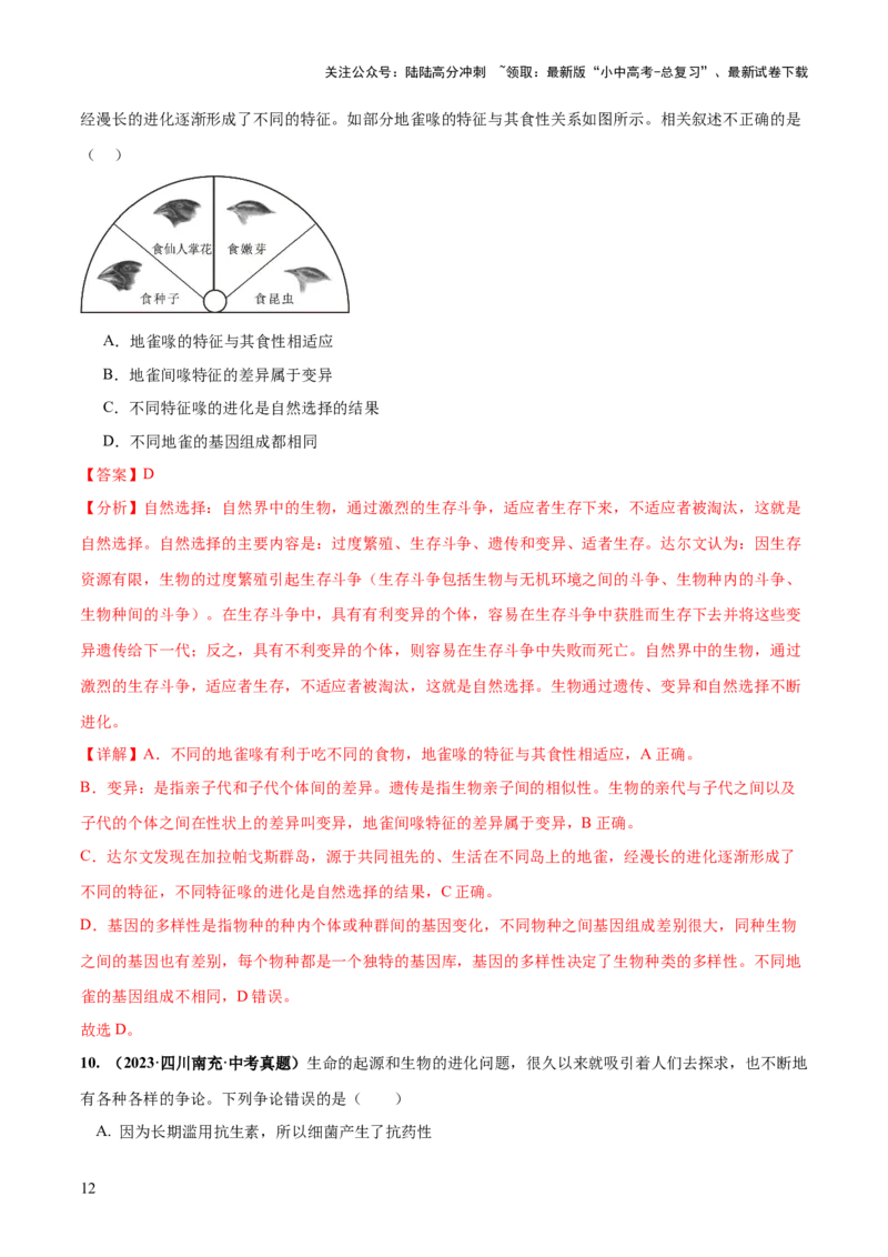 专题22生命的起源和生物的进化（练习）（解析版）_02中考总复习（2026版更新中）_08-生物-中考总复习_2024年中考复习资料_一轮复习_❤2024年中考生物一轮复习讲练测（全国通用）_练习