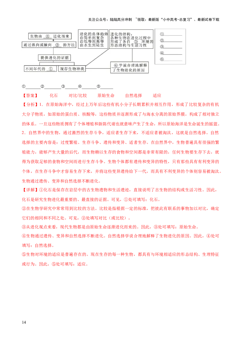 专题22生命的起源和生物的进化（练习）（解析版）_02中考总复习（2026版更新中）_08-生物-中考总复习_2024年中考复习资料_一轮复习_❤2024年中考生物一轮复习讲练测（全国通用）_练习