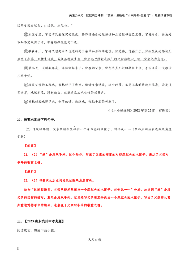 专题52文学类文本之字词赏析（知识梳理+练习）(解析版）_02中考总复习（2026版更新中）_01-语文-中考总复习_2025年中考资料_备战2025年中考语文一轮复习考点突破（全国通用）