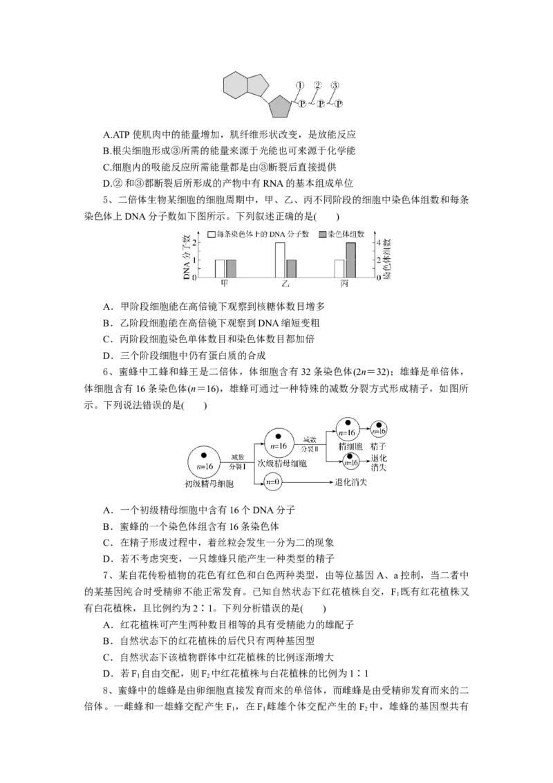 湖北省随州市部分高中联考协作体2024-2025学年高三上学期12月联考生物试题_A1502026各地模拟卷（超值！）_12月