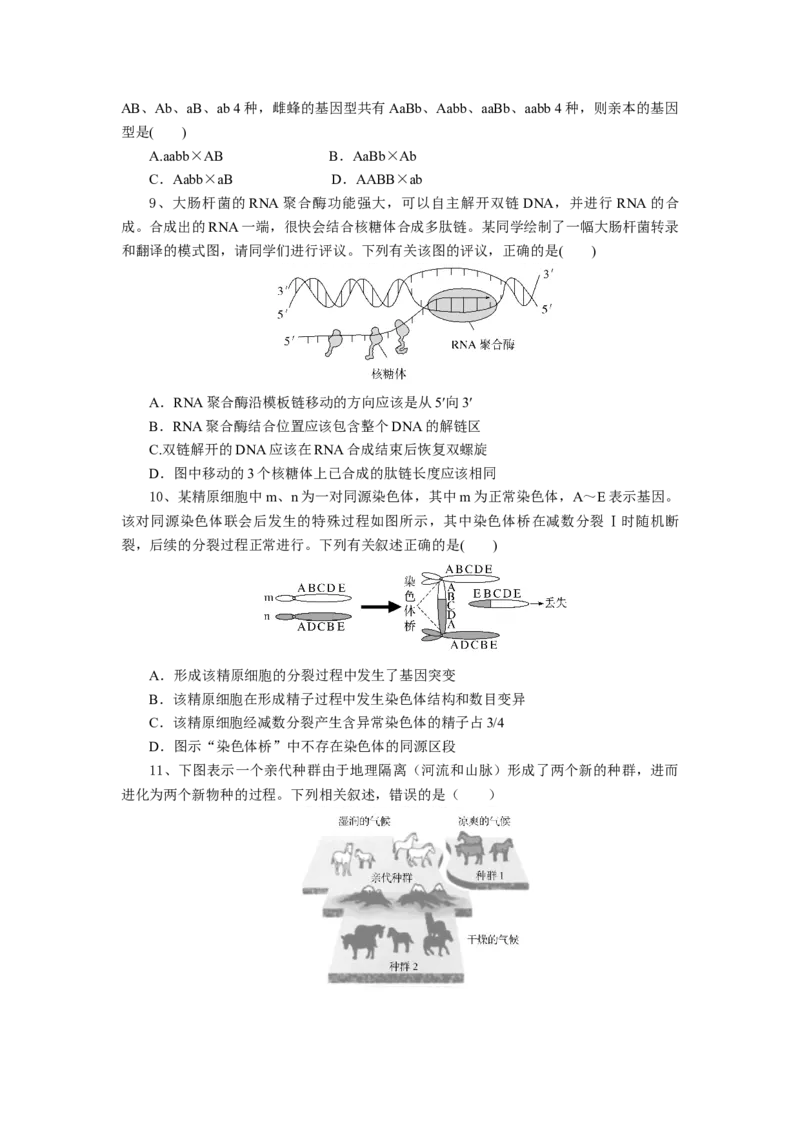 湖北省随州市部分高中联考协作体2024-2025学年高三上学期12月联考生物试题_A1502026各地模拟卷（超值！）_12月