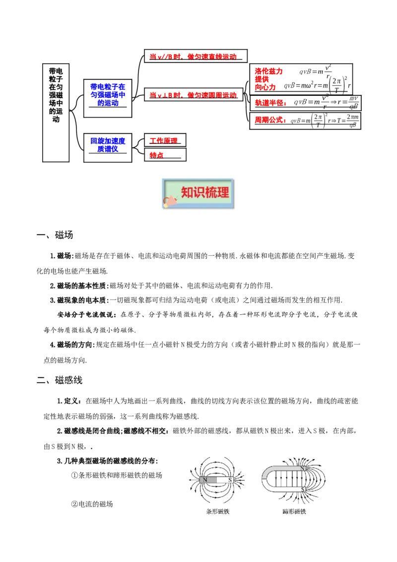 专题10磁场-口袋书2023年高考物理必背知识手册_36777926(1)_4.2025物理总复习_2023年新高复习资料_备战2023年高考物理抢分秘籍（新高考专用）