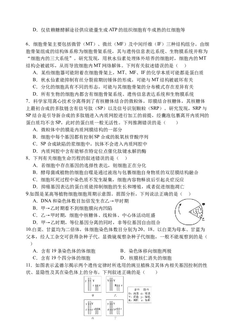 江苏省扬州中学2024-2025学年高三上学期10月月考试题生物Word版含答案_A1502026各地模拟卷（超值！）_10月_241015江苏省扬州中学2024-2025学年高三上学期10月月考