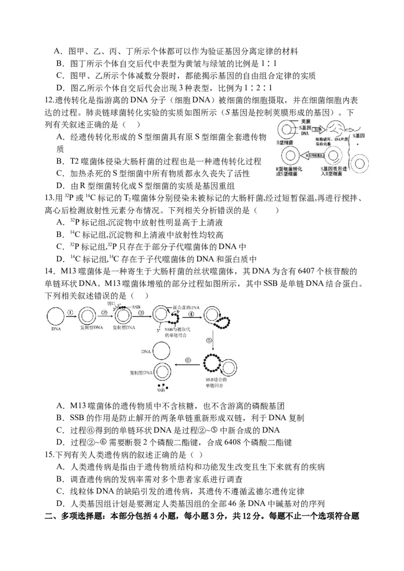 江苏省扬州中学2024-2025学年高三上学期10月月考试题生物Word版含答案_A1502026各地模拟卷（超值！）_10月_241015江苏省扬州中学2024-2025学年高三上学期10月月考