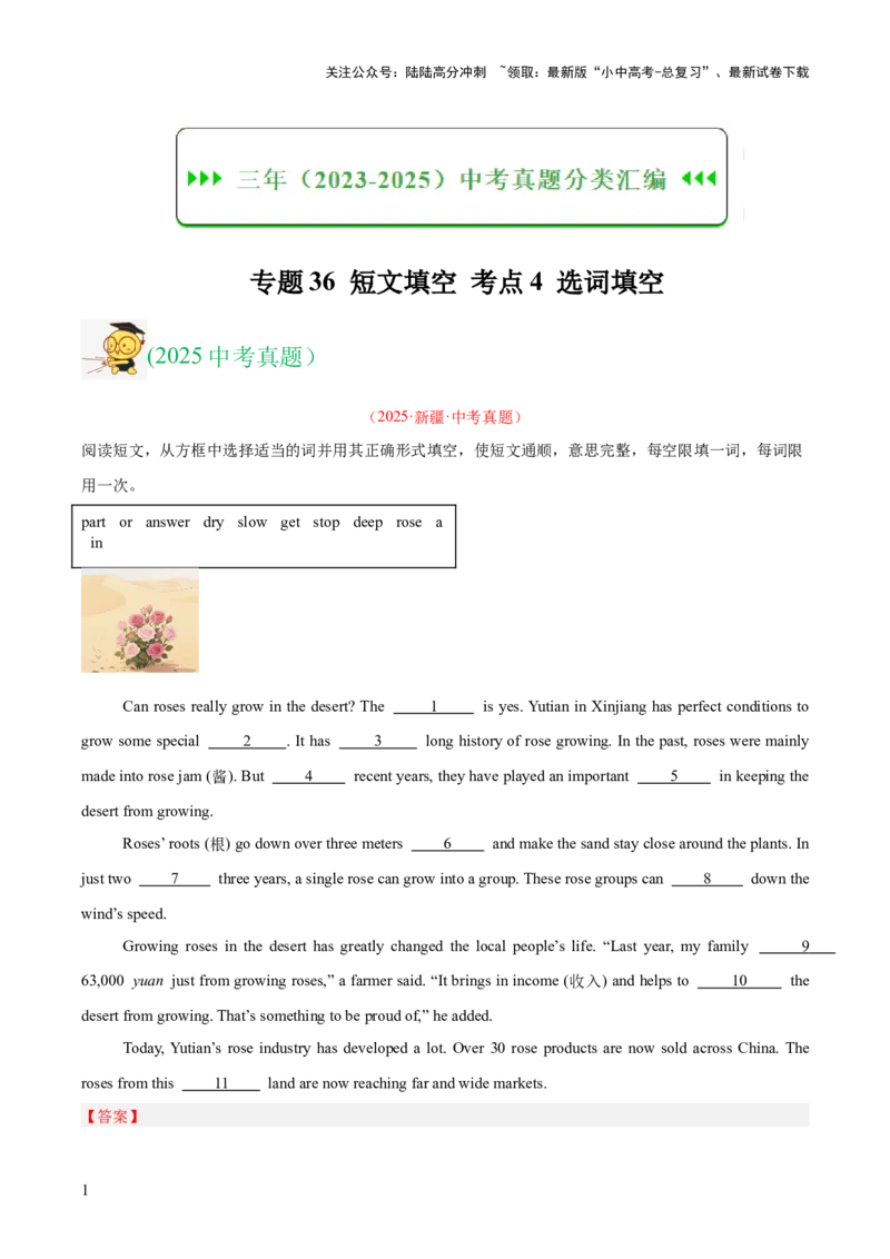 专题36短文填空考点4选词填空（全国通用）（解析版）_02中考总复习（2026版更新中）_03-英语-中考总复习_2026年中考复习（更新中）