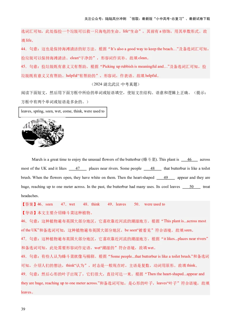 专题36短文填空考点4选词填空（全国通用）（解析版）_02中考总复习（2026版更新中）_03-英语-中考总复习_2026年中考复习（更新中）