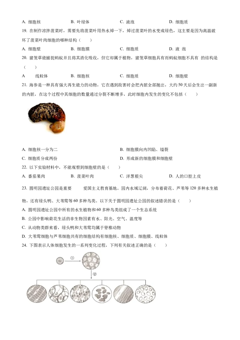 精品解析：北京市通州区2022-2023学年七年级上学期期中生物试题（原卷版）(1)_北京初中期末题_C605-京七八九_B京生物七八九_北京7上生物_2022-2024_北京生物7上期中_766