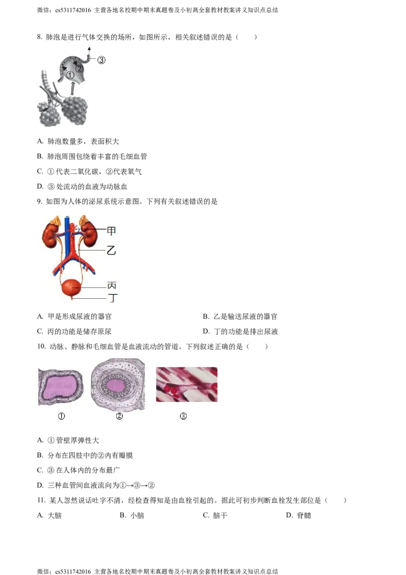 精品解析：北京市第二中学教育集团2022-2023学年七年级下学期期末生物试题（原卷版）(1)_北京初中期末题_C605-京七八九_B京生物七八九_北京7下生物_2022-2024_北京生物7下期末