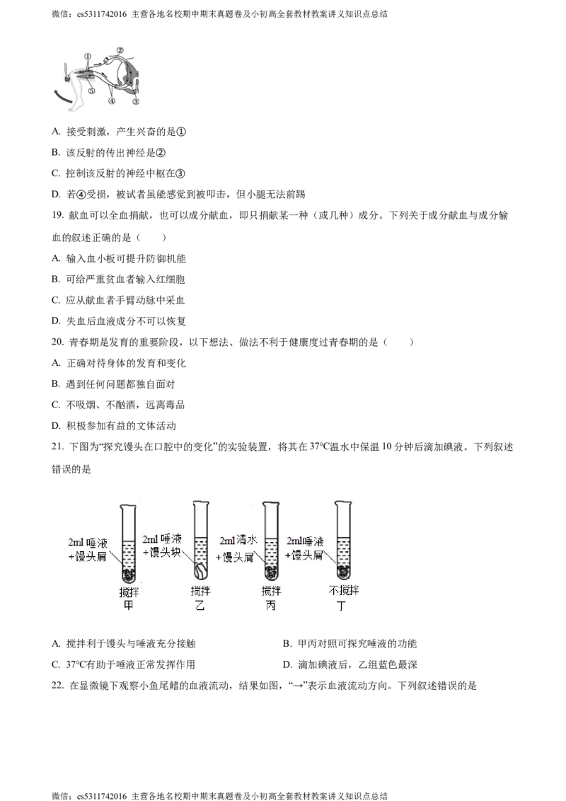 精品解析：北京市第二中学教育集团2022-2023学年七年级下学期期末生物试题（原卷版）(1)_北京初中期末题_C605-京七八九_B京生物七八九_北京7下生物_2022-2024_北京生物7下期末
