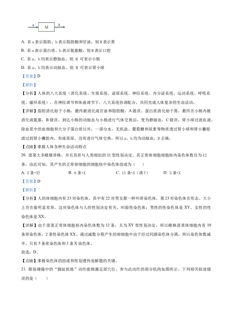 精品解析：北京市第二中学教育集团2022-2023学年八年级下学期期中生物试题（解析版）(1)_北京初中期末题_C605-京七八九_B京生物七八九_北京八下生物